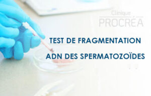 TEST DE FRAGMENTATION ADN DES SPERMATOZOÏDES